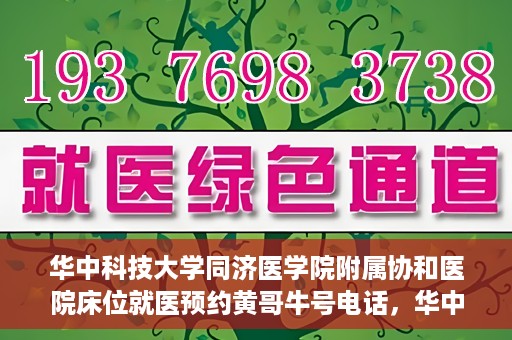 华中科技大学同济医学院附属协和医院床位就医预约黄哥牛号电话，华中科技大学同济医学院附属协和医院床位预约热线及黄哥牛号电话揭秘
