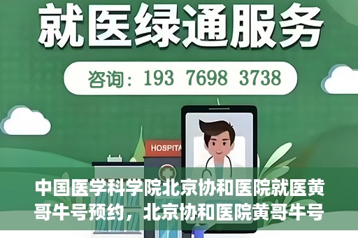 中国医学科学院北京协和医院就医黄哥牛号预约，北京协和医院黄哥牛号预约攻略，就医指南与医学权威体验