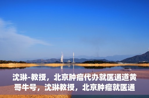 沈琳-教授，北京肿瘤代办就医通道黄哥牛号，沈琳教授，北京肿瘤就医通道背后的黄哥牛号传奇