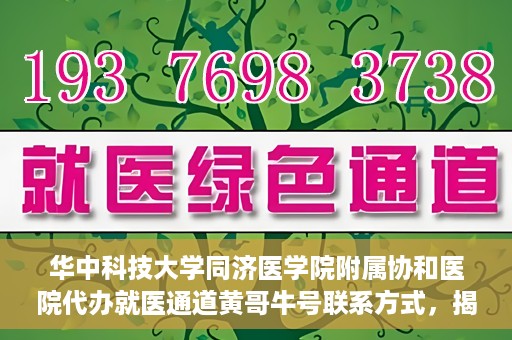 华中科技大学同济医学院附属协和医院代办就医通道黄哥牛号联系方式，揭秘华中科技大学同济医学院附属协和医院代办就医通道，黄哥牛号联系方式及操作内幕揭秘