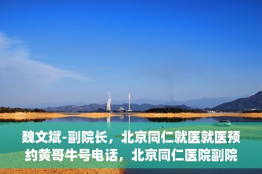 魏文斌-副院长，北京同仁就医就医预约黄哥牛号电话，北京同仁医院副院长魏文斌，就医预约背后的故事与黄哥牛号电话揭秘