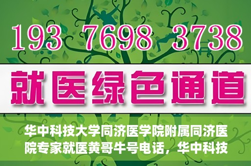 华中科技大学同济医学院附属同济医院专家就医黄哥牛号电话，华中科技大学同济医院专家黄哥牛号电话就医指南