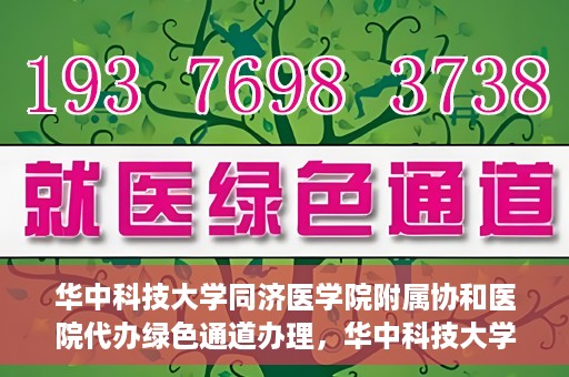 华中科技大学同济医学院附属协和医院代办绿色通道办理，华中科技大学同济医学院附属协和医院绿色通道代办服务详解