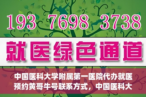 中国医科大学附属第一医院代办就医预约黄哥牛号联系方式，中国医科大学附属第一医院预约就医代办服务，黄哥牛号联系方式及预约指南