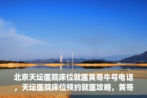 北京天坛医院床位就医黄哥牛号电话，天坛医院床位预约就医攻略，黄哥牛号电话全解析