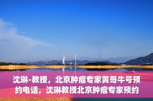 沈琳-教授，北京肿瘤专家黄哥牛号预约电话，沈琳教授北京肿瘤专家预约电话及黄哥牛号解读