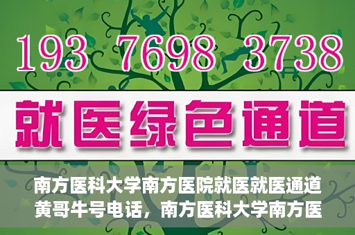 南方医科大学南方医院就医就医通道黄哥牛号电话，南方医科大学南方医院就医通道详解，黄哥牛号电话一键通预约就医服务