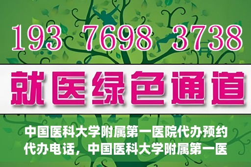 中国医科大学附属第一医院代办预约代办电话，中国医科大学附属第一医院预约代办服务热线详解