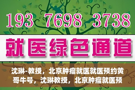 沈琳-教授，北京肿瘤就医就医预约黄哥牛号，沈琳教授，北京肿瘤就医预约秘籍与黄哥牛号解读