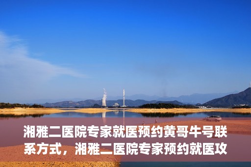 湘雅二医院专家就医预约黄哥牛号联系方式，湘雅二医院专家预约就医攻略，黄哥牛号联系方式揭秘