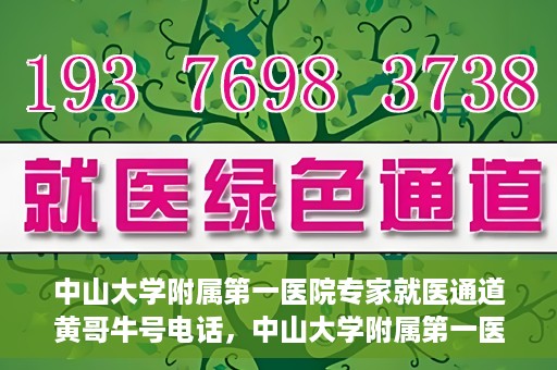 中山大学附属第一医院专家就医通道黄哥牛号电话，中山大学附属第一医院专家就医通道热线，黄哥牛号电话解读与预约攻略