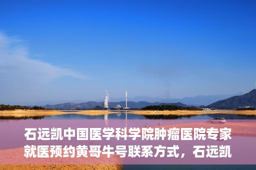 石远凯中国医学科学院肿瘤医院专家就医预约黄哥牛号联系方式，石远凯教授，中国医学科学院肿瘤医院专家预约挂号攻略及联系方式揭秘