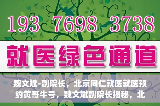 魏文斌-副院长，北京同仁就医就医预约黄哥牛号，魏文斌副院长揭秘，北京同仁医院就医预约的黄哥牛号攻略