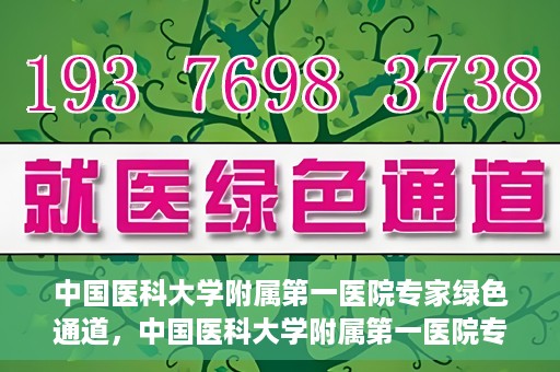 中国医科大学附属第一医院专家绿色通道，中国医科大学附属第一医院专家绿色通道，高效就医体验，专业医疗守护