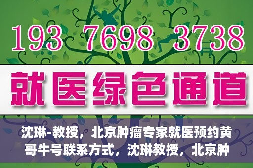 沈琳-教授，北京肿瘤专家就医预约黄哥牛号联系方式，沈琳教授，北京肿瘤专家预约攻略及黄哥牛号联系方式揭秘
