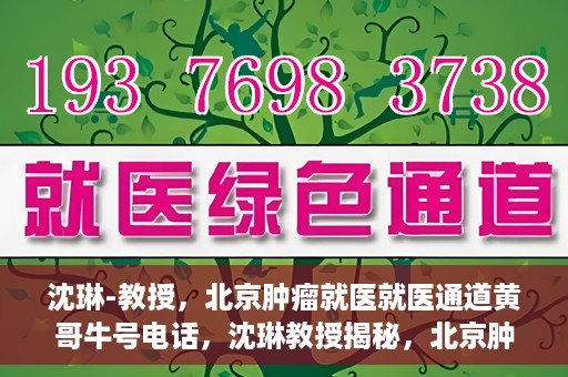 沈琳-教授，北京肿瘤就医就医通道黄哥牛号电话，沈琳教授揭秘，北京肿瘤就医通道牛号电话与就医攻略