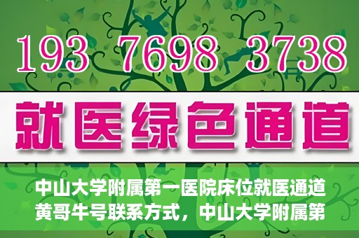 中山大学附属第一医院床位就医通道黄哥牛号联系方式，中山大学附属第一医院床位就医通道，黄哥牛号联系方式全解析