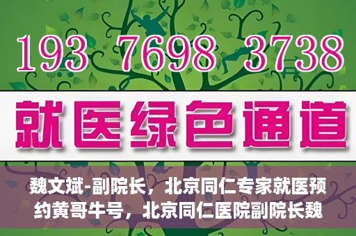 魏文斌-副院长，北京同仁专家就医预约黄哥牛号，北京同仁医院副院长魏文斌，专家预约背后的故事与黄哥牛号揭秘