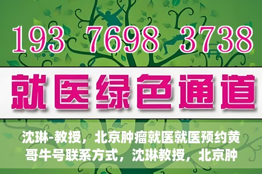 沈琳-教授，北京肿瘤就医就医预约黄哥牛号联系方式，沈琳教授，北京肿瘤就医预约秘籍与黄哥牛号联系方式揭秘