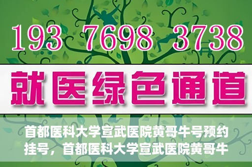 首都医科大学宣武医院黄哥牛号预约挂号，首都医科大学宣武医院黄哥牛号，预约挂号攻略