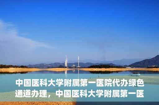 中国医科大学附属第一医院代办绿色通道办理，中国医科大学附属第一医院绿色通道代办服务详解
