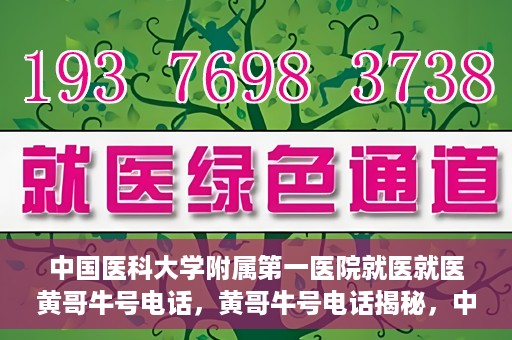 中国医科大学附属第一医院就医就医黄哥牛号电话，黄哥牛号电话揭秘，中国医科大学附属第一医院就医指南与就医体验分享