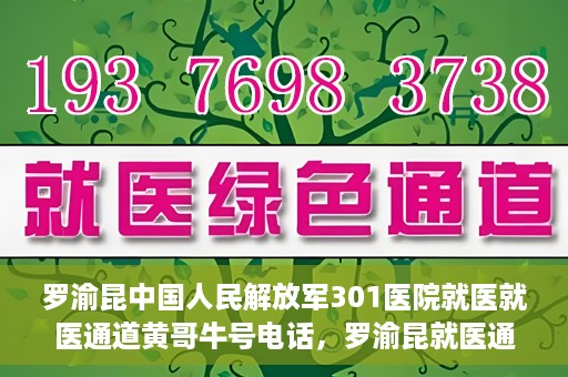 罗渝昆中国人民解放军301医院就医就医通道黄哥牛号电话，罗渝昆就医通道揭秘，中国人民解放军301医院黄哥牛号电话的背后故事