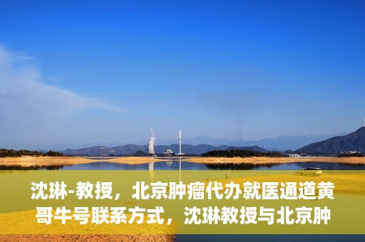 沈琳-教授，北京肿瘤代办就医通道黄哥牛号联系方式，沈琳教授与北京肿瘤就医通道，黄哥牛号联系方式揭秘
