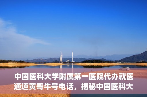 中国医科大学附属第一医院代办就医通道黄哥牛号电话，揭秘中国医科大学附属第一医院就医通道代办服务，黄哥牛号电话全解析
