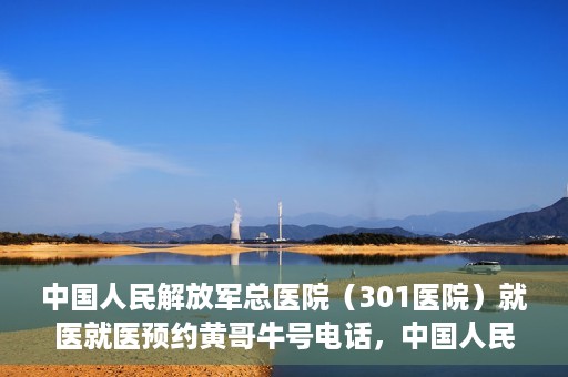 中国人民解放军总医院（301医院）就医就医预约黄哥牛号电话，中国人民解放军总医院（301医院）黄哥就医预约热线电话全攻略