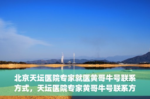 北京天坛医院专家就医黄哥牛号联系方式，天坛医院专家黄哥牛号联系方式揭秘，权威医疗资源的深度解读