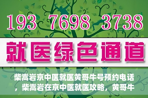 柴嵩岩京中医就医黄哥牛号预约电话，柴嵩岩在京中医就医攻略，黄哥牛号预约电话全解析