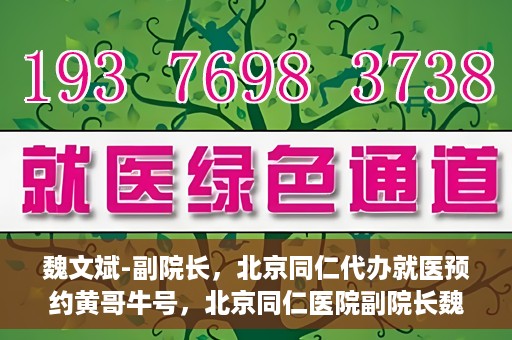 魏文斌-副院长，北京同仁代办就医预约黄哥牛号，北京同仁医院副院长魏文斌揭秘，黄哥牛号助您轻松预约就医新攻略