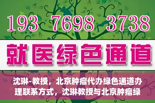 沈琳-教授，北京肿瘤代办绿色通道办理联系方式，沈琳教授与北京肿瘤绿色通道，便捷办理联系方式揭秘