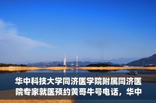 华中科技大学同济医学院附属同济医院专家就医预约黄哥牛号电话，华中科技大学同济医院专家黄哥牛号预约电话与就医指南
