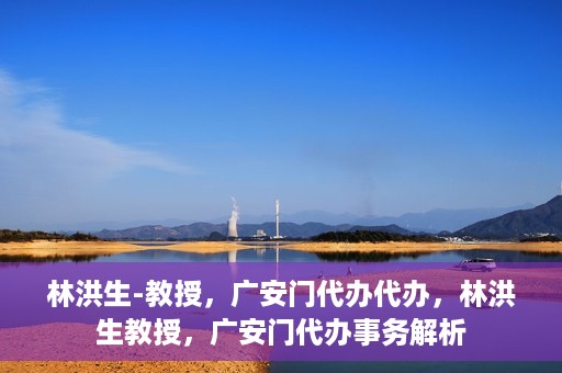 林洪生-教授，广安门代办代办，林洪生教授，广安门代办事务解析