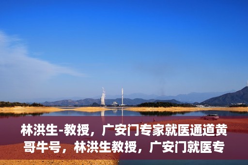 林洪生-教授，广安门专家就医通道黄哥牛号，林洪生教授，广安门就医专家通道揭秘，黄哥牛号引领健康之路