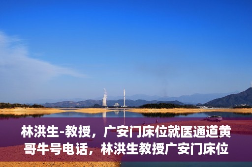 林洪生-教授，广安门床位就医通道黄哥牛号电话，林洪生教授广安门床位就医通道权威解读，黄哥牛号电话背后的故事