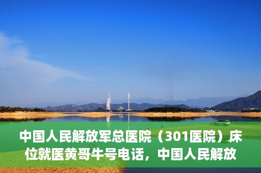 中国人民解放军总医院（301医院）床位就医黄哥牛号电话，中国人民解放军总医院（301医院）床位预约就医攻略，黄哥牛号电话全解析