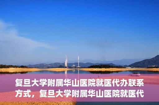复旦大学附属华山医院就医代办联系方式，复旦大学附属华山医院就医代办服务指南与联系方式解析