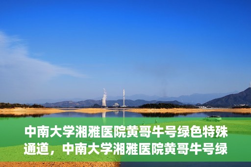 中南大学湘雅医院黄哥牛号绿色特殊通道，中南大学湘雅医院黄哥牛号绿色特殊通道，医疗服务的创新实践与人文关怀的体现