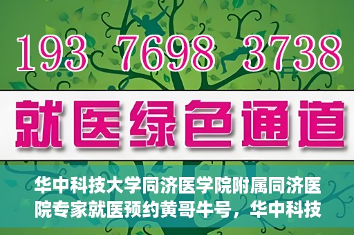 华中科技大学同济医学院附属同济医院专家就医预约黄哥牛号，华中科技大学同济医院专家黄哥牛号预约就医指南