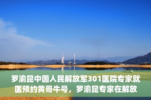 罗渝昆中国人民解放军301医院专家就医预约黄哥牛号，罗渝昆专家在解放军301医院就医预约，黄哥牛号背后的专业力量