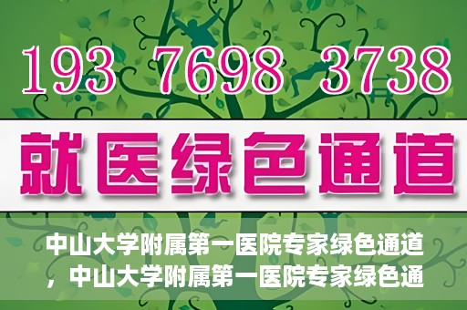 中山大学附属第一医院专家绿色通道，中山大学附属第一医院专家绿色通道，一站式健康服务体验新篇章