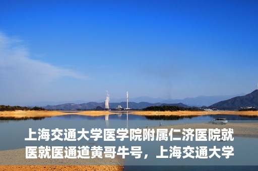 上海交通大学医学院附属仁济医院就医就医通道黄哥牛号，上海交通大学医学院附属仁济医院就医通道，黄哥牛号助您轻松就医体验之旅