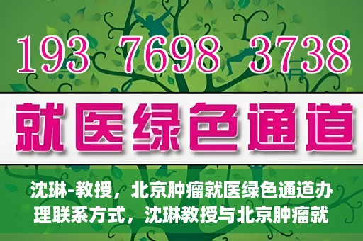 沈琳-教授，北京肿瘤就医绿色通道办理联系方式，沈琳教授与北京肿瘤就医绿色通道，一站式联系指南