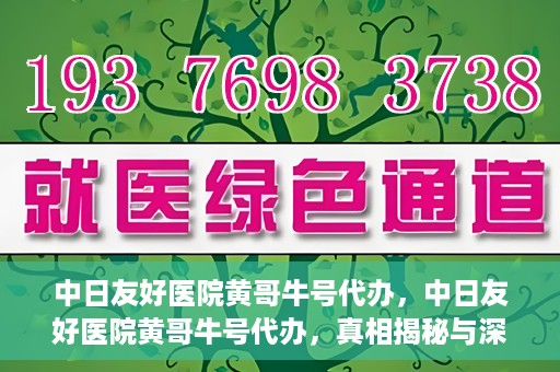 中日友好医院黄哥牛号代办，中日友好医院黄哥牛号代办，真相揭秘与深度解析