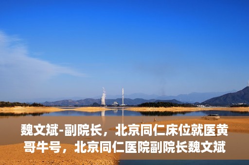 魏文斌-副院长，北京同仁床位就医黄哥牛号，北京同仁医院副院长魏文斌揭秘床位就医黄哥牛号背后的故事