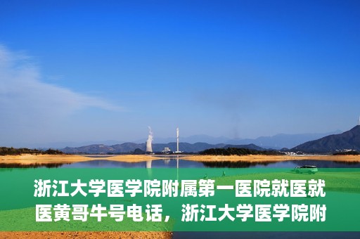 浙江大学医学院附属第一医院就医就医黄哥牛号电话，浙江大学医学院附属第一医院就医攻略，黄哥牛号电话一键预约挂号服务