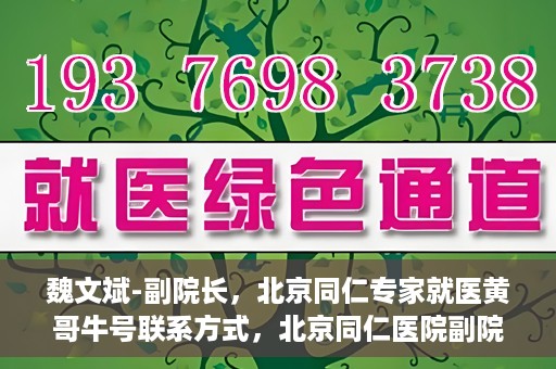 魏文斌-副院长，北京同仁专家就医黄哥牛号联系方式，北京同仁医院副院长魏文斌，黄哥牛号就医联系指南与专家联系方式揭秘